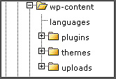 Подпапки внутри папки WordPress wp-content